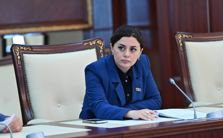 Azərbaycan-Ukrayna Strateji Tərəfdaşlığı: yeni perspektivlər Bakıda müzakirə olundu 