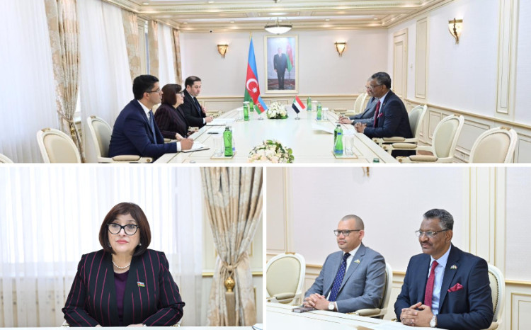 Speaker of Milli Majlis Sahiba Gafarova Meets with Extraordinary and Plenipotentiary Ambassador of Sudan in our Country 