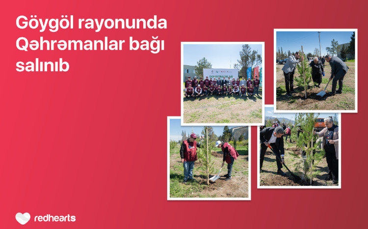 В Гёйгёле реализована акция «Qəhrəmanlar bağı» 
