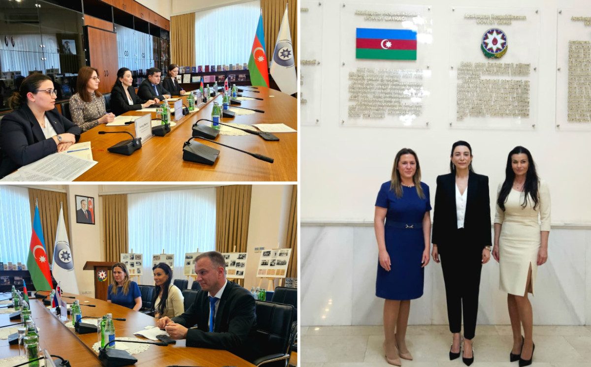Ombudsman Slovakiya Milli Şurasının üzvlərini qəbul edib 