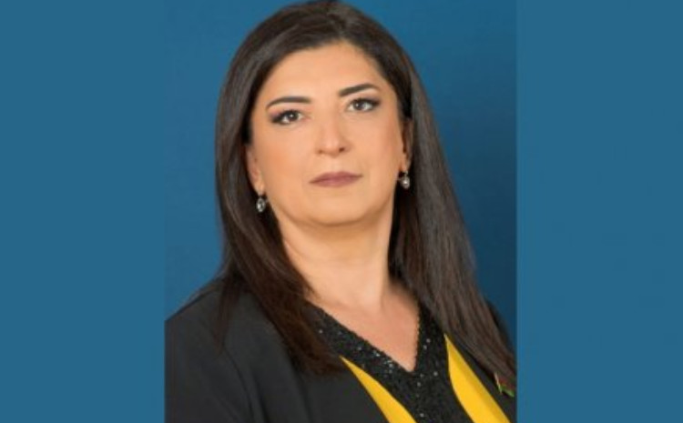 “Avropa Parlamenti regiondakı reallıqları görməzlikdən gəlir” 
