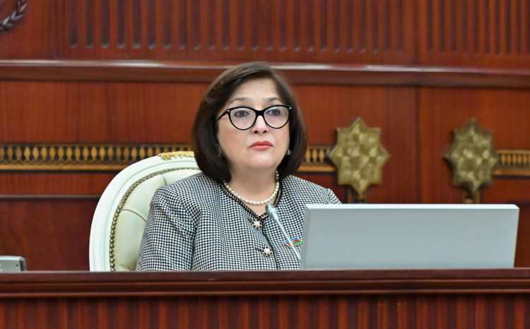 Sahibə Qafarova: Avropa Parlamenti Azərbaycana qarşı qərəzli mövqe tutur 