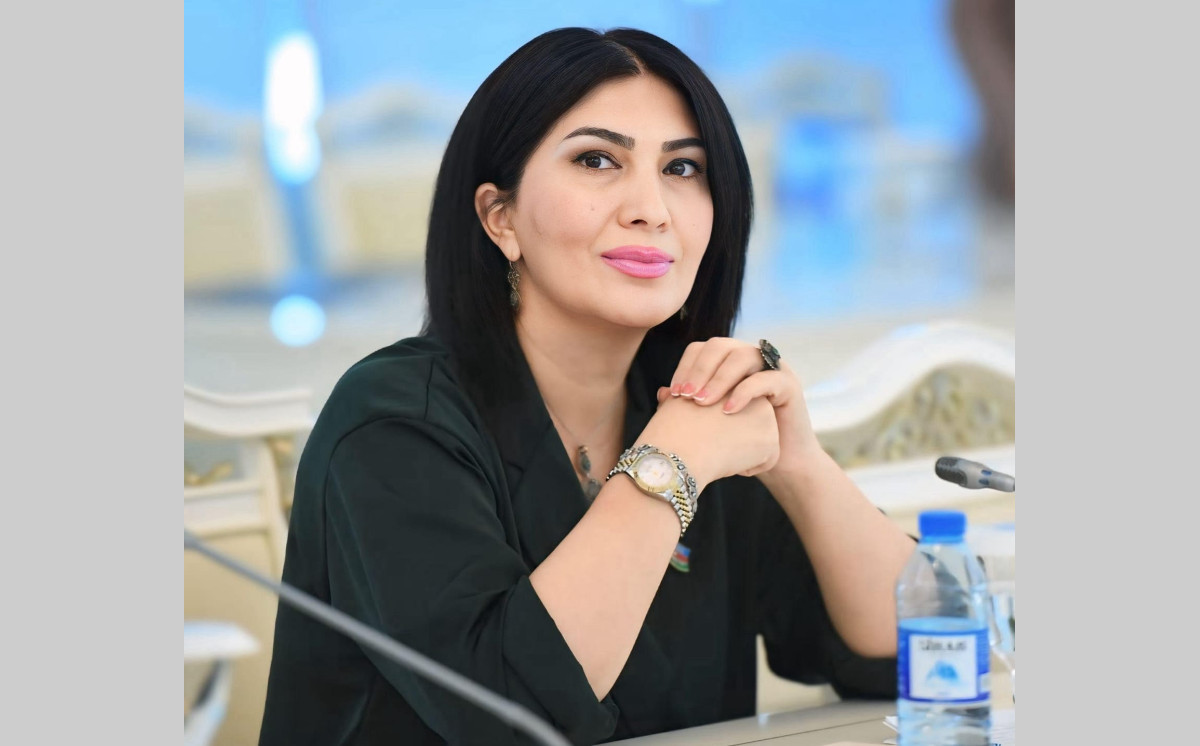 Elnarə Akimova: Kitabxanalar kitab saxlanılan yer deyil, oxucu yetişdirən mərkəzlərə çevrilməlidir 