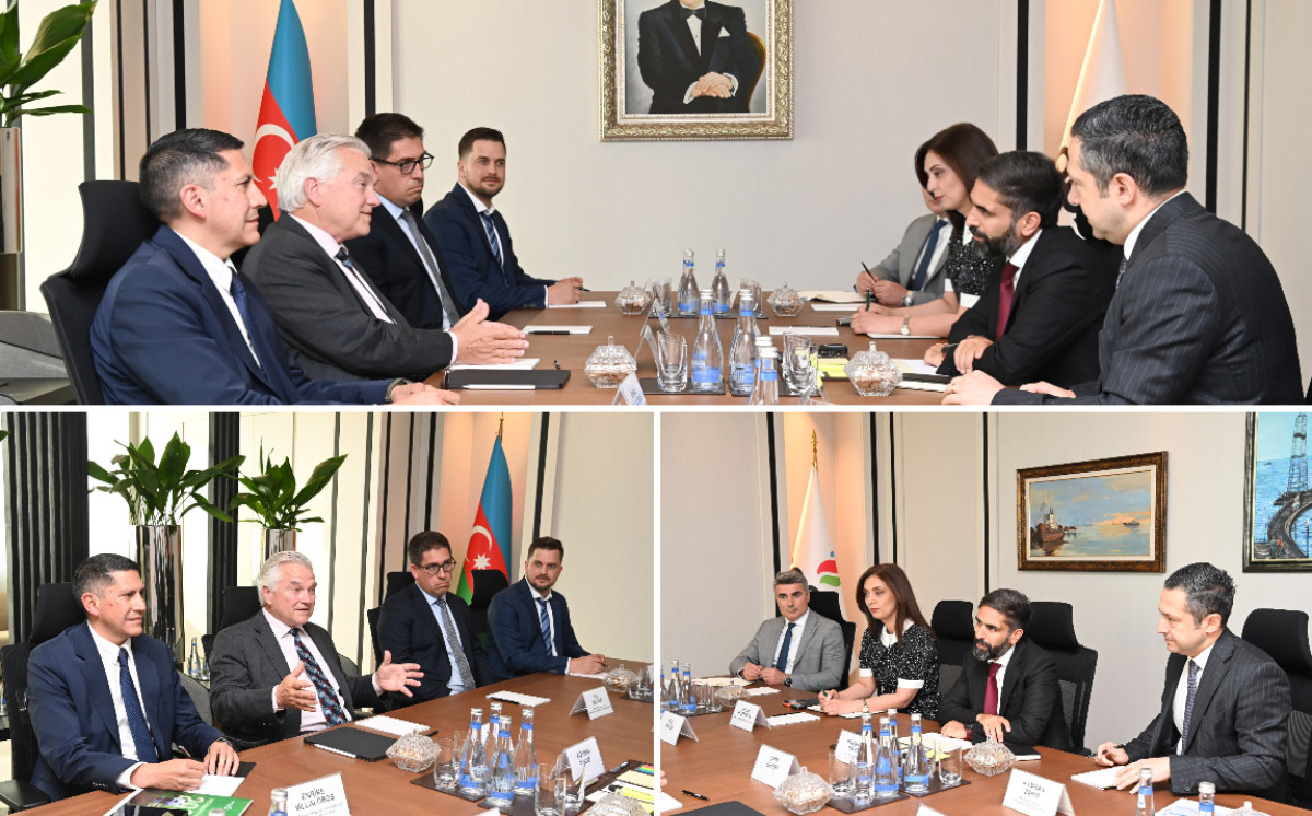 SOCAR President Meets with President and Chief Executive Officer of Gran Tierra Energy Inc. 