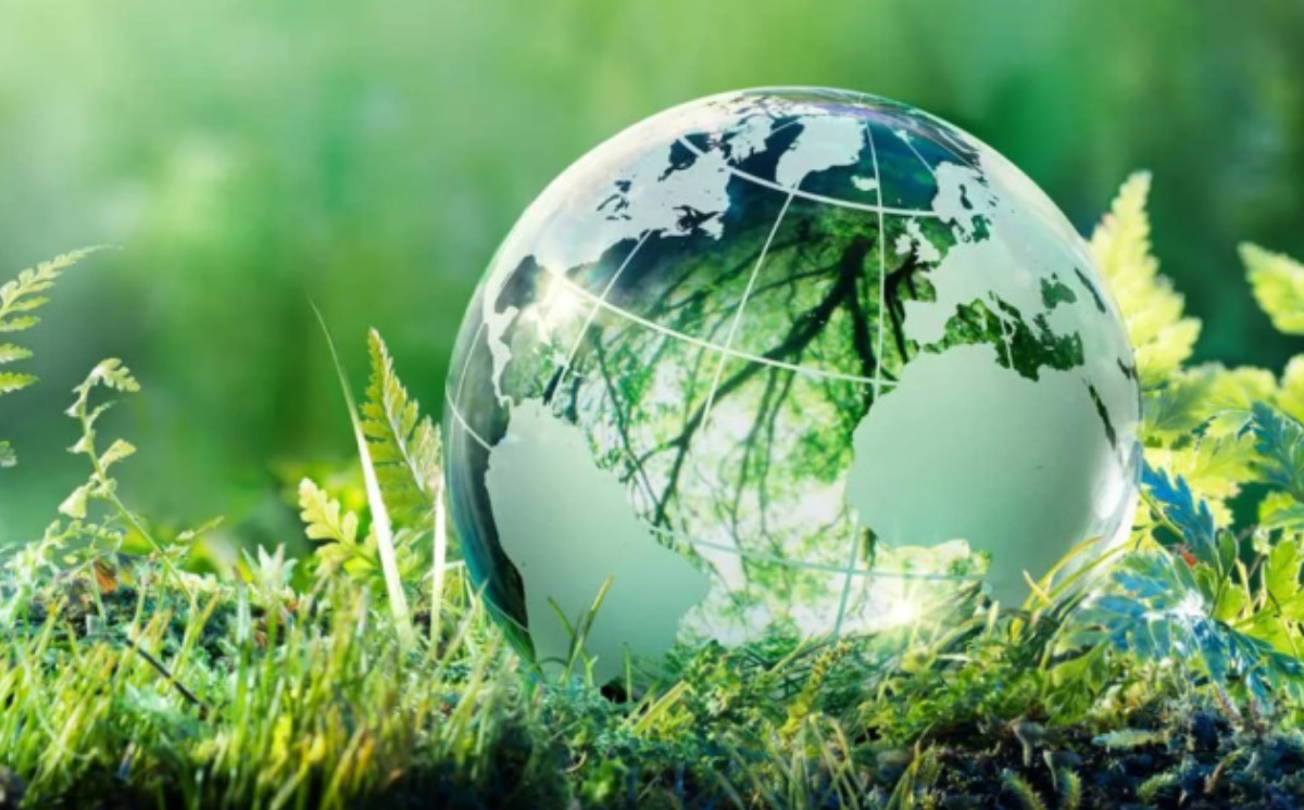 Baku State University Launches Three New Master's Specializations in Ecology and Soil Science 