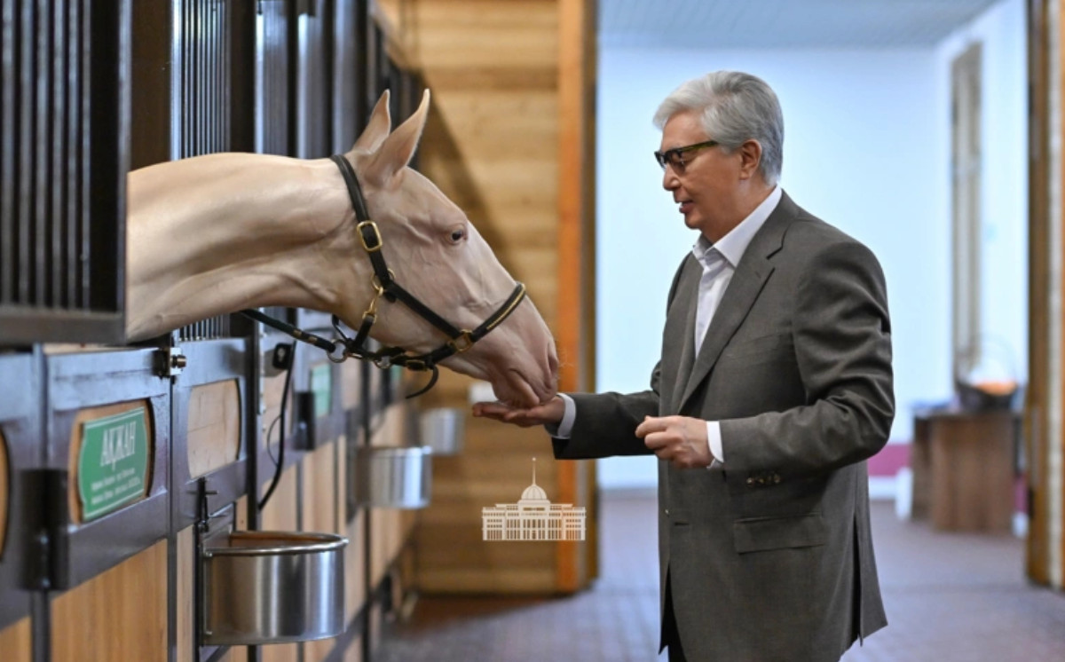 Aqzhan - “Pure Soul” - Brand of the Great Steppe 