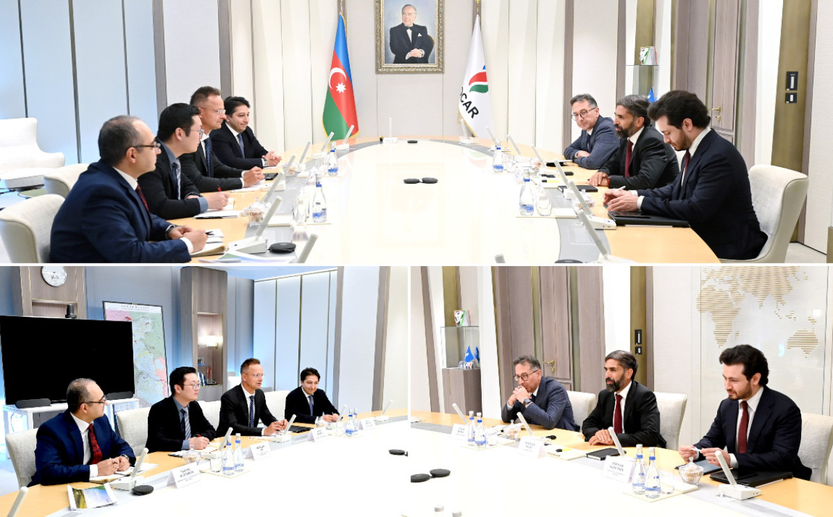 SOCAR President Meets with Head of External Relations and New Business Development at BYD 