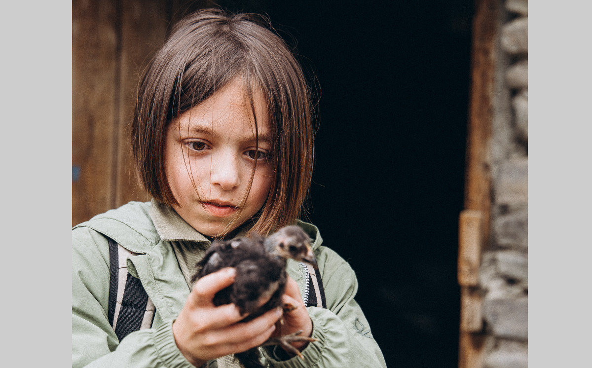 UKRAINIAN youth Awarded in Action For Nature’s 2026 International Young Eco-Hero Awards 