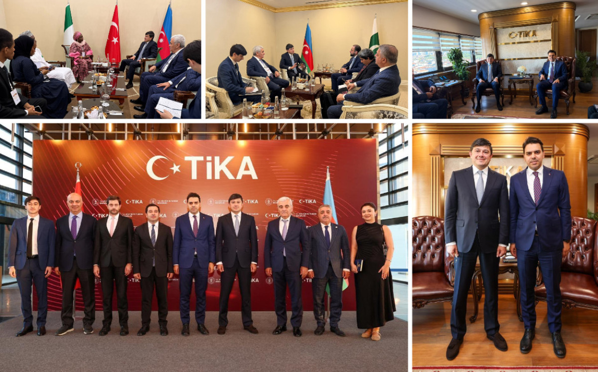 Türkiyədə qlobal diaspor məsələləri müzakirə olunub 