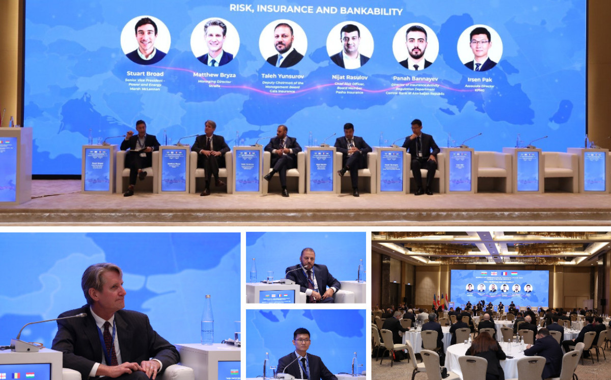 Risk management and insurance mechanisms for the Green Energy Corridor project were discussed 