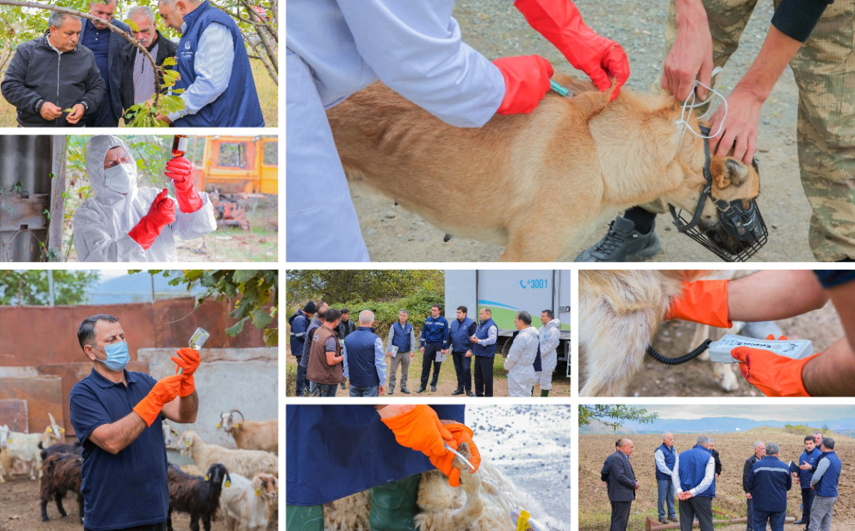 Aqrar Xidmətlər Agentliyi tərəfindən Xocalı və Xocavənddə səyyar aqrar xidmətlər göstərilib 